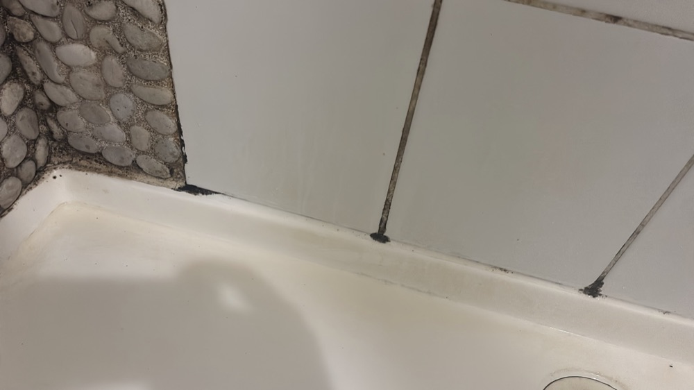 Mould in a home near Rockbank