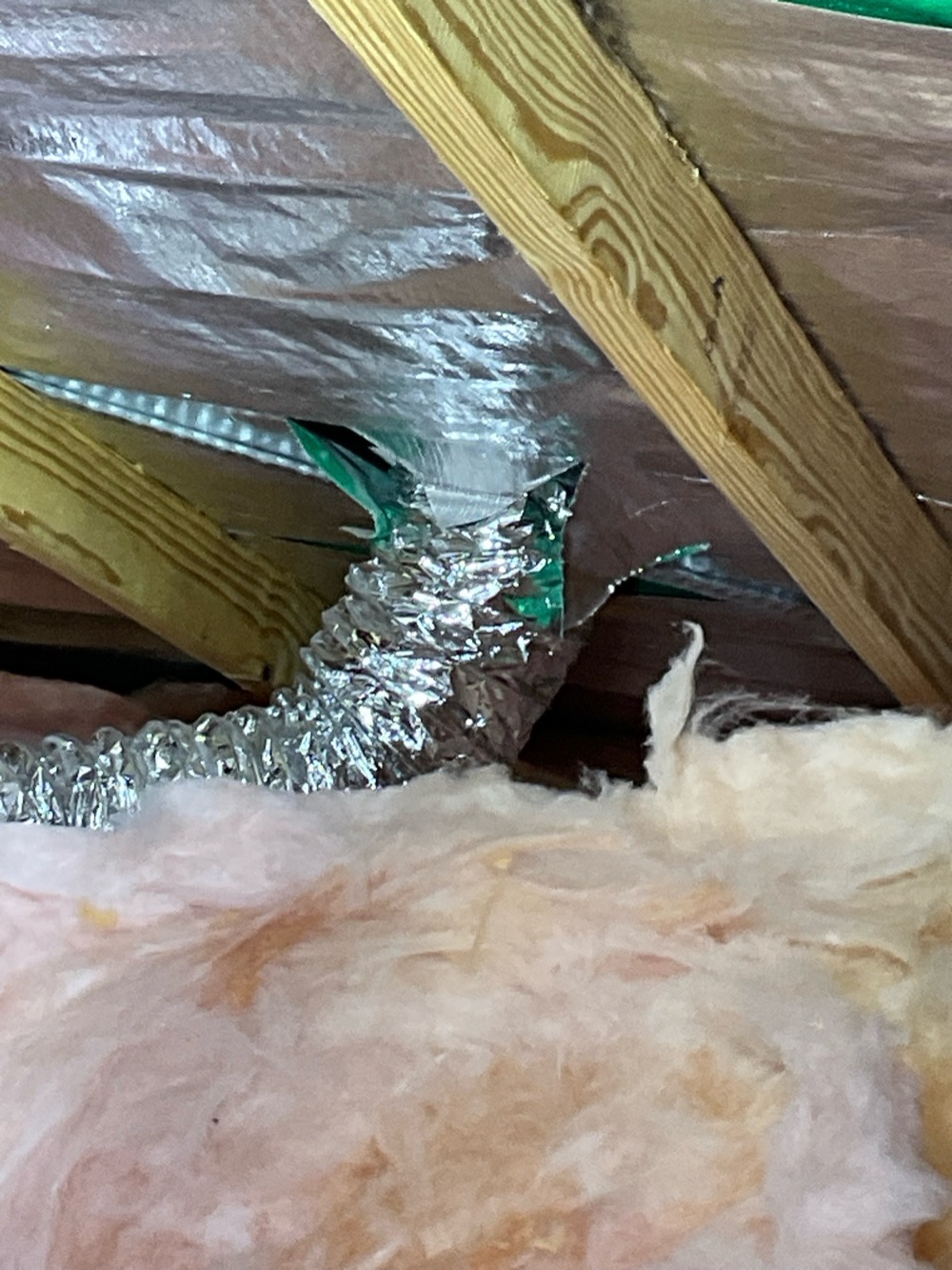 Recorded on an inspection in Fraser Rise, Rockbank